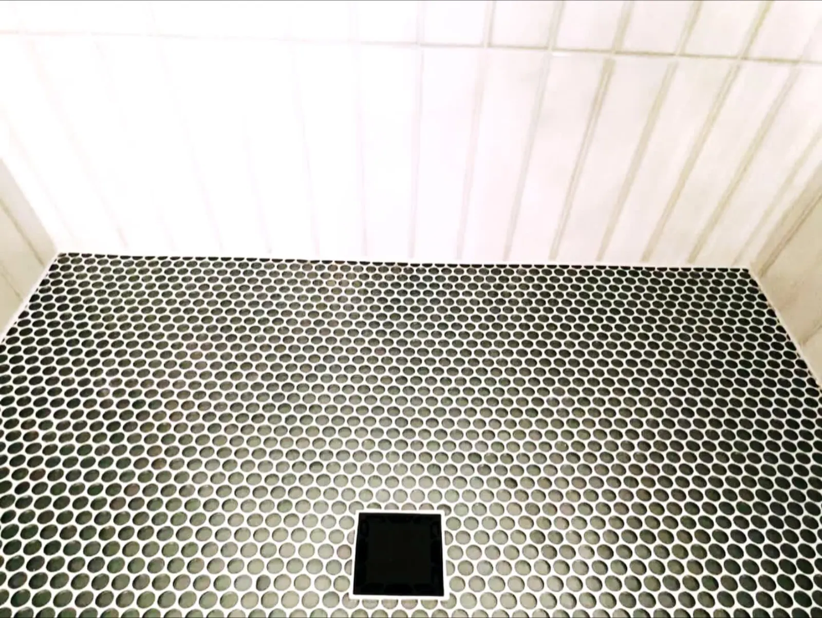 Black and white penny tile shower floor